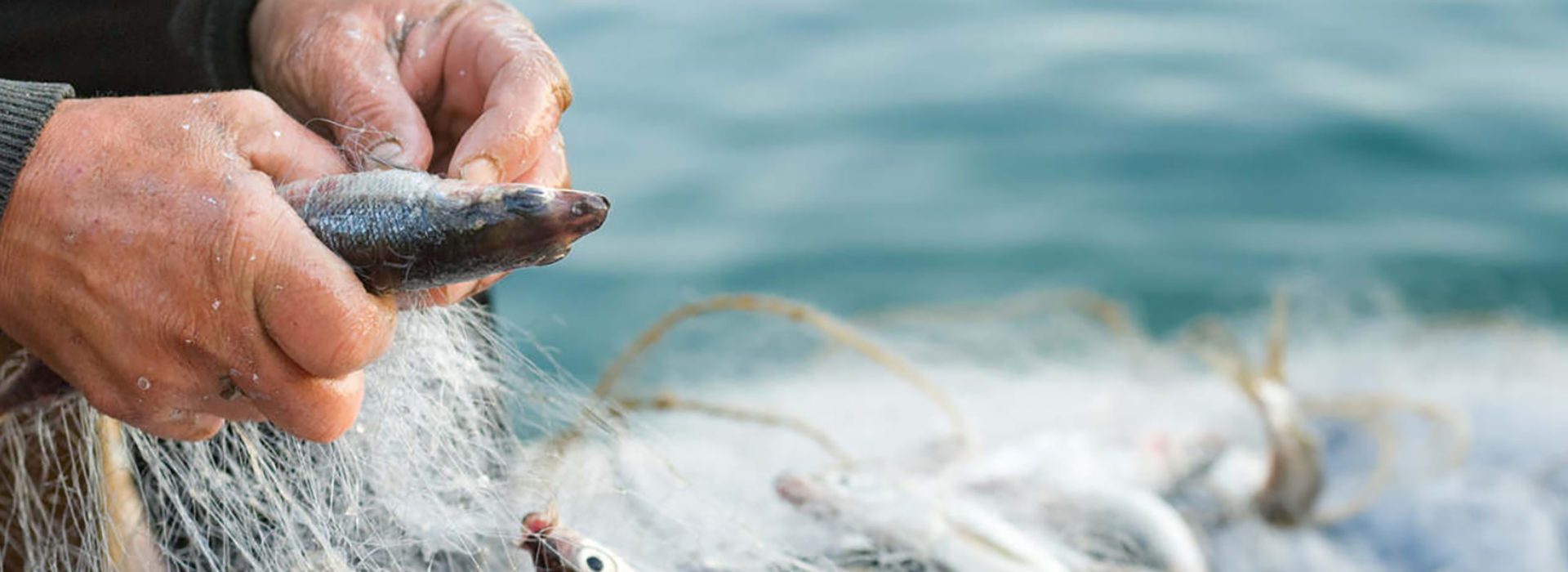 A halászok továbbra is nagy kárt okoznak folyóvizeinkben